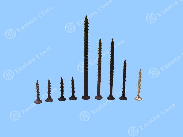 Dry Wall Screw