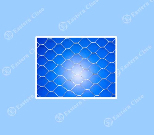 Hexagonal Wire Mesh